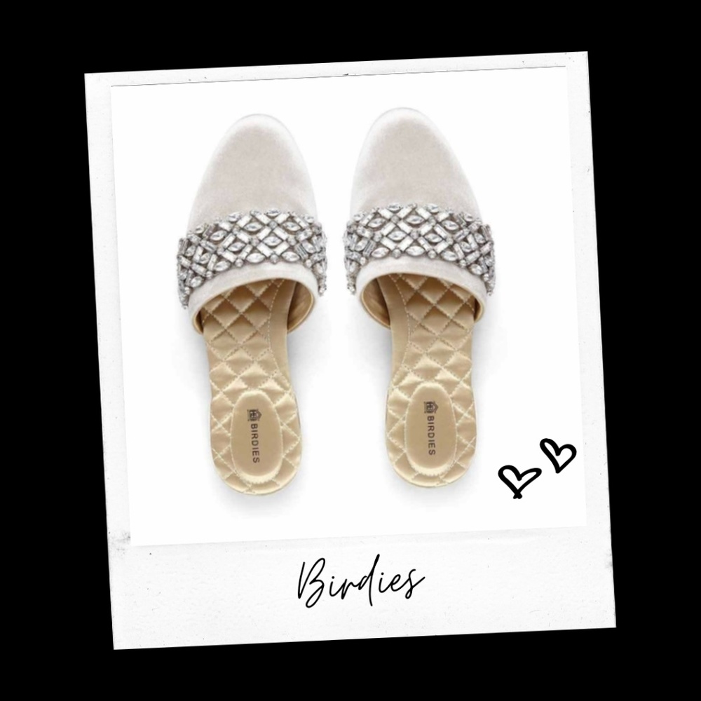 RARE 🕊 BIRDIES 🕊 Songbird Snow Crystal Slides